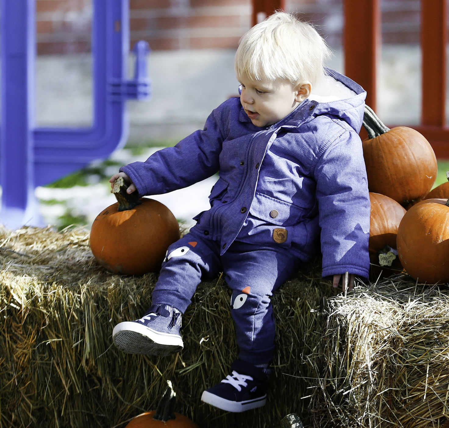 Fall Fest